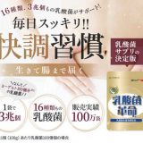 乳酸菌革命