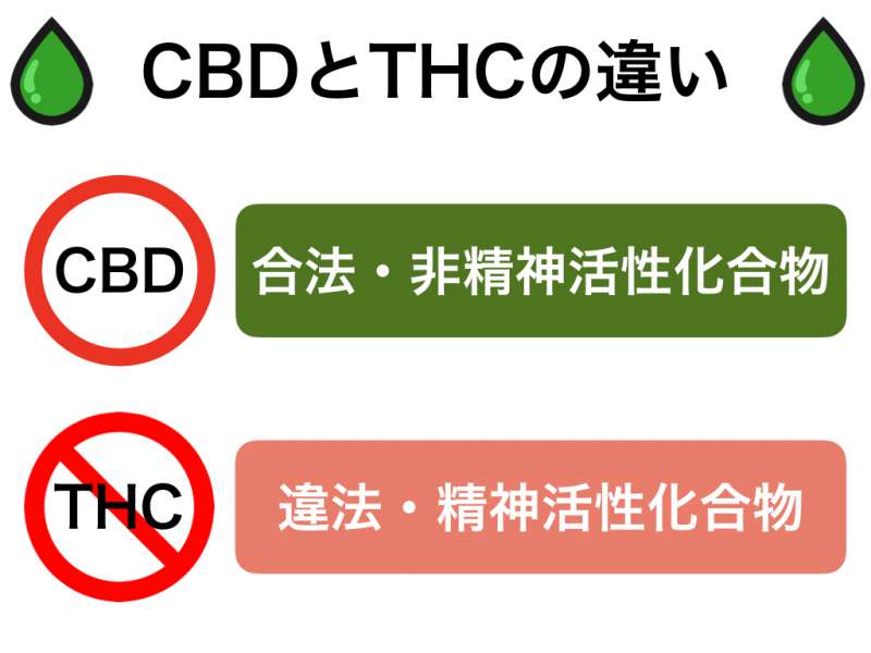 CBD(カンナビジオール)とTHC(テトラヒドロカンナビノール)の違い